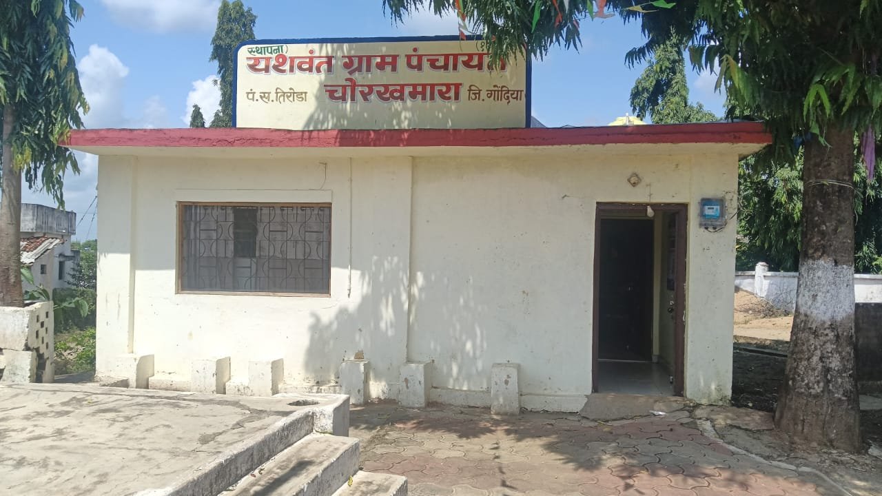 Bullocks ploughing a field